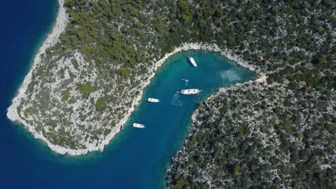Karaloz